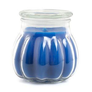 Blueberry Sugar Cookie Candle NEW 17 oz Approx burn time 76 hours Celebrating Ho